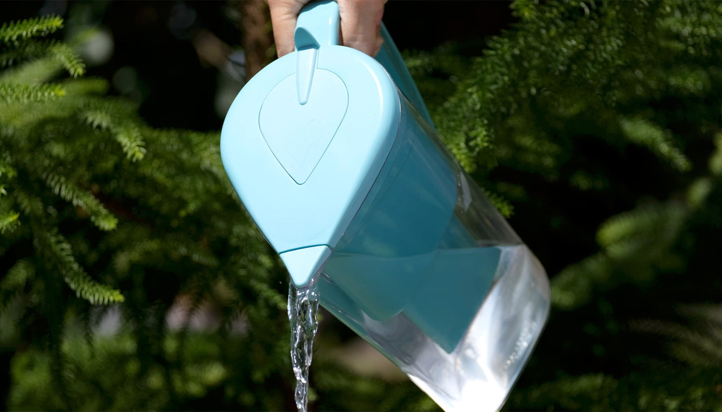 Blue Jug + Annual Pack