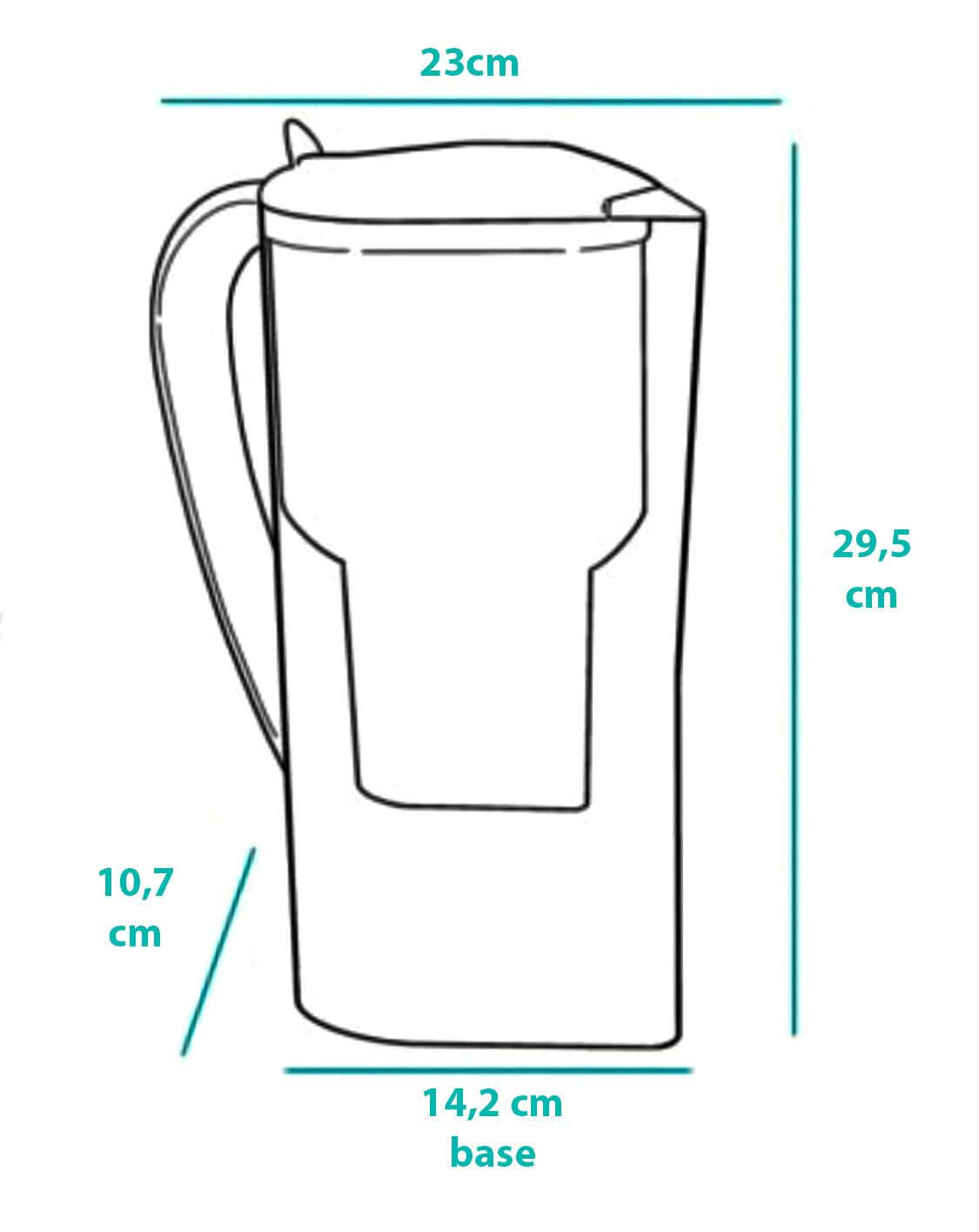 Pink Jug + Annual Pack